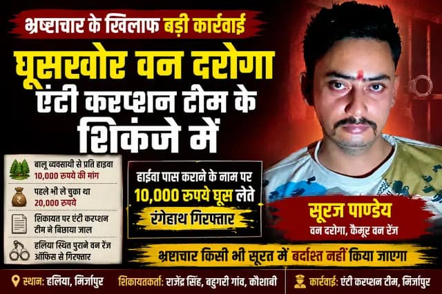 news-img