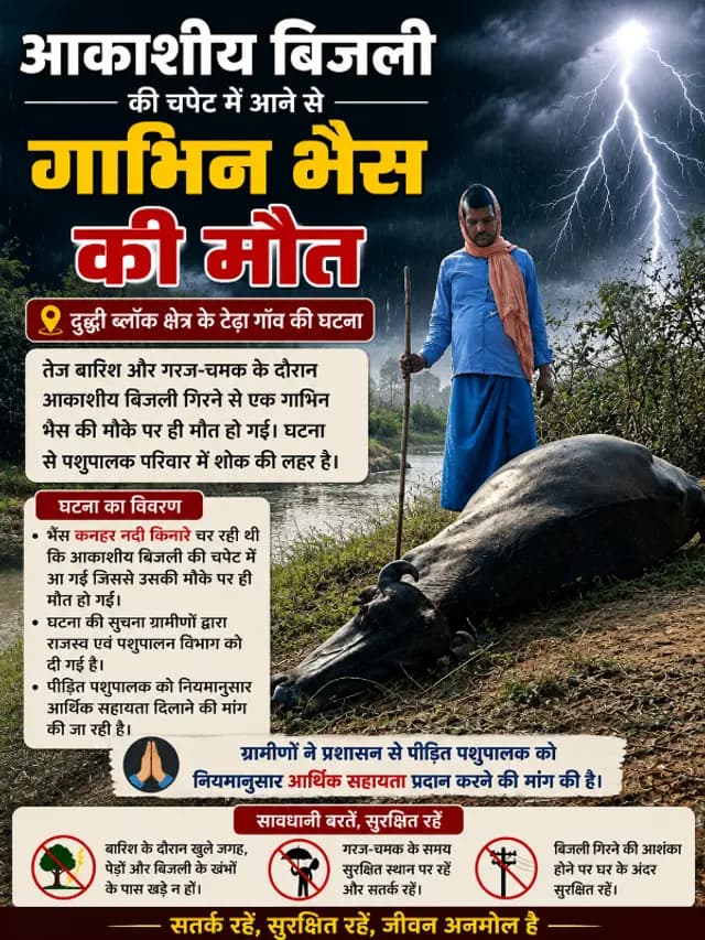 news-img