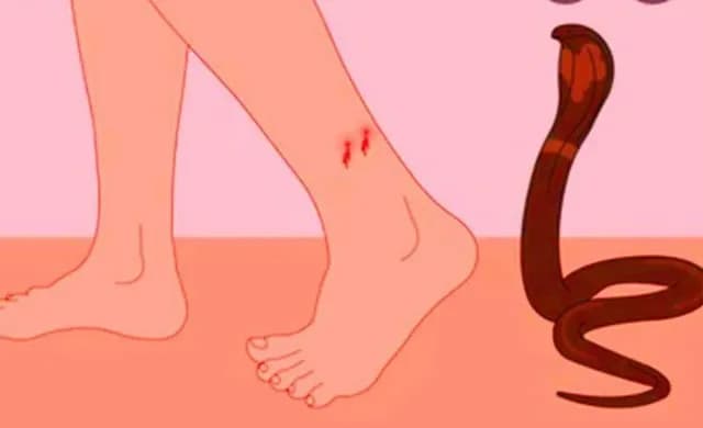 news-img