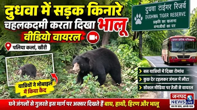 news-img