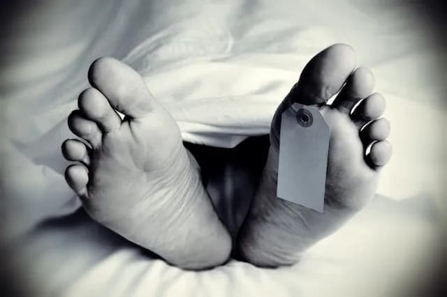 news-img