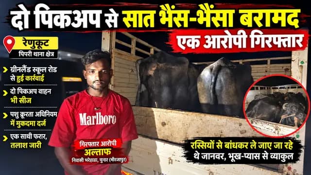 news-img